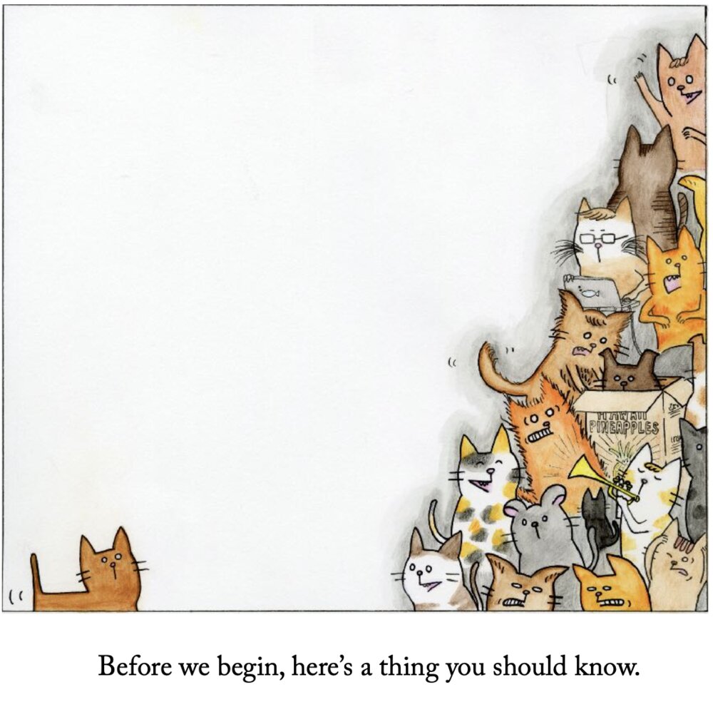 Picture-book page: a tumbling pile of cats.