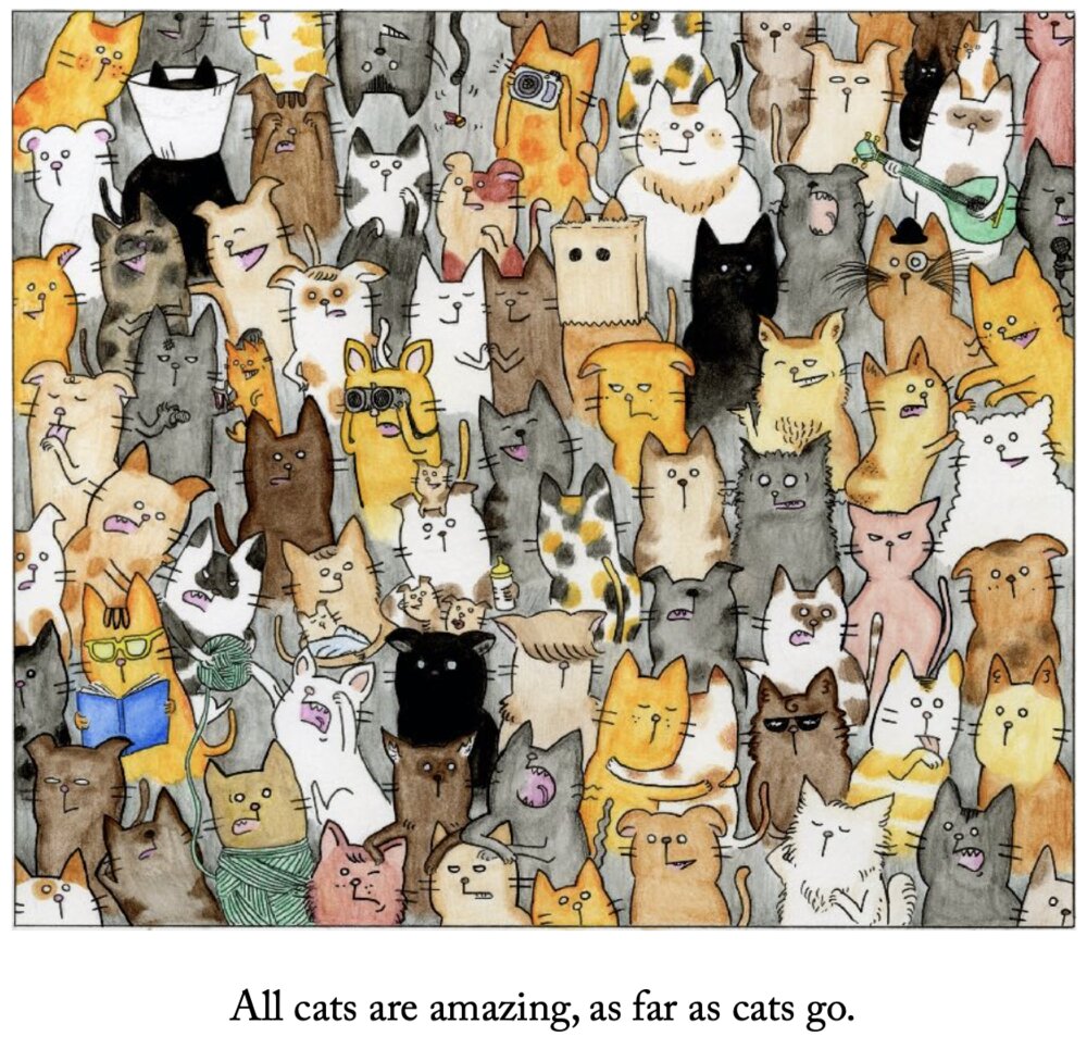 Picture-book page: a crowd of all kinds of cats.